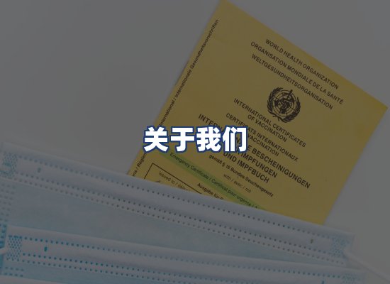 关于我们